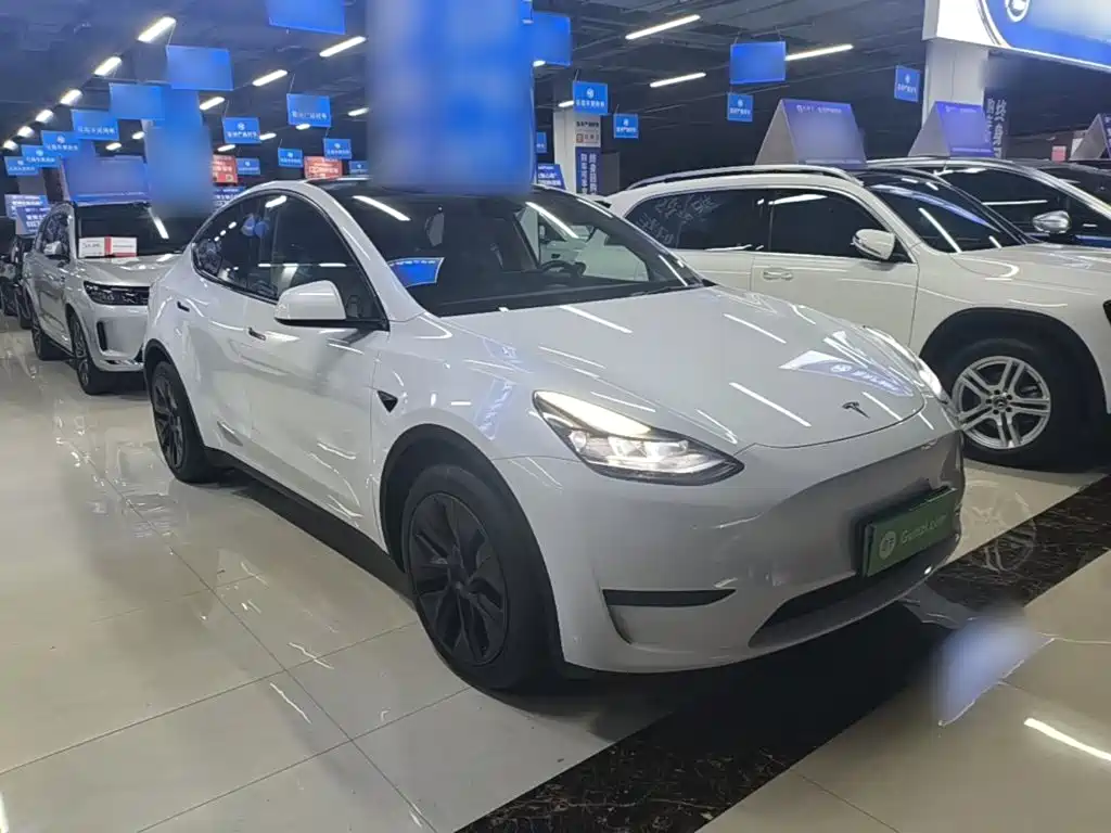 Tesla Model Y — миниатюра 4