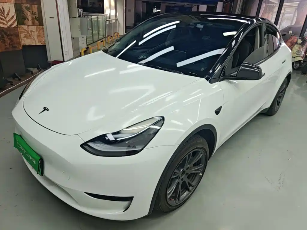Tesla Model Y — миниатюра 2