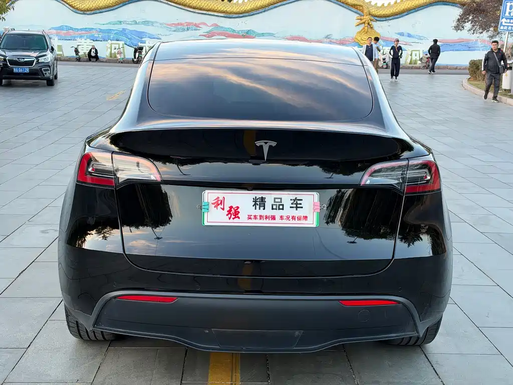 Tesla Model Y — миниатюра 14