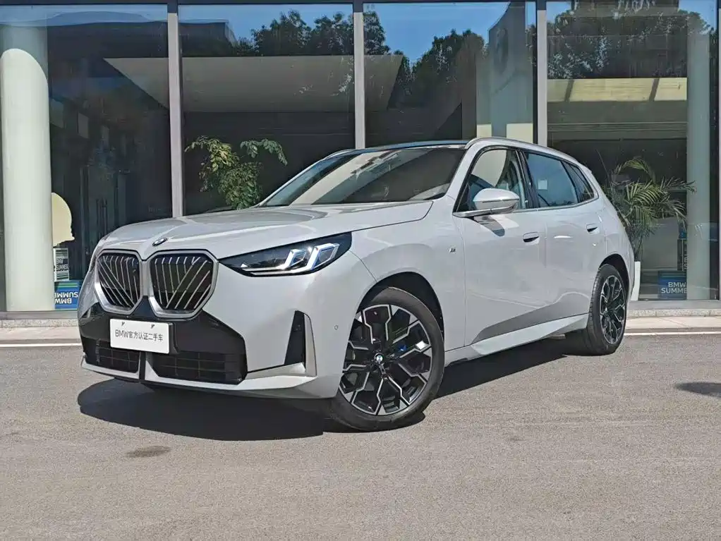 BMW X3 — миниатюра 2