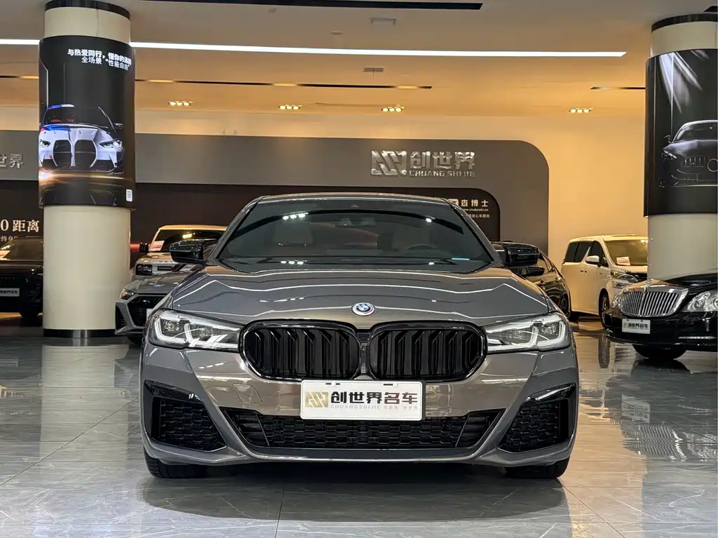 BMW 5 Series (Import) — миниатюра 2