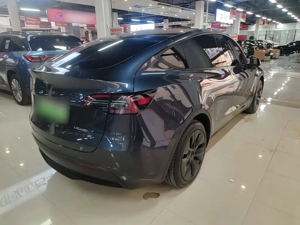 Tesla Model Y — миниатюра 7