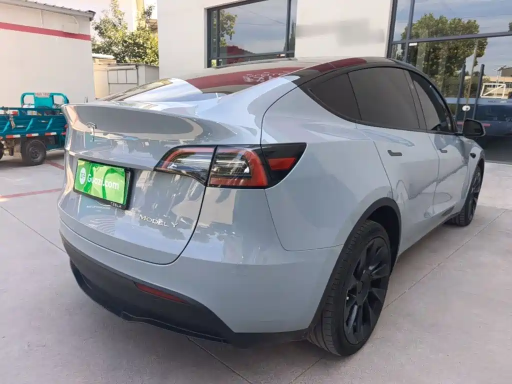 Tesla Model Y — миниатюра 7