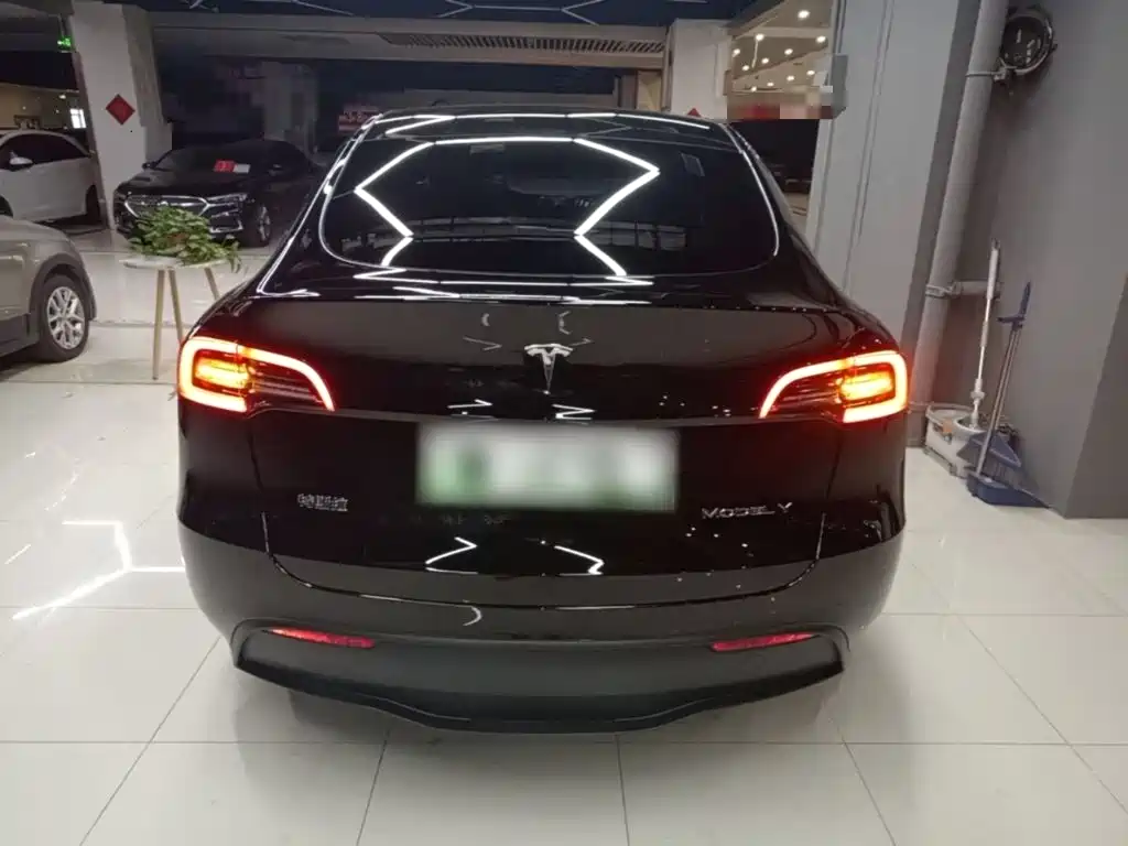 Tesla Model Y — миниатюра 6