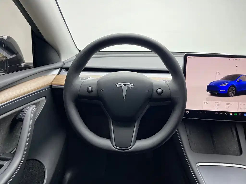 Tesla Model Y — миниатюра 12