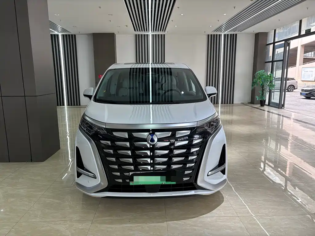 Denza Denza D9 — миниатюра 2