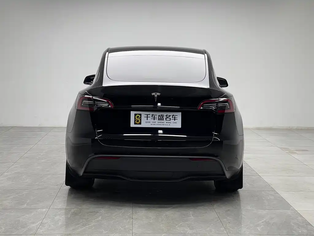 Tesla Model Y — миниатюра 5