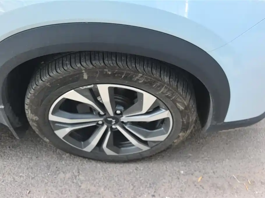 Wuling Xingchen 2022 2.0L DHT