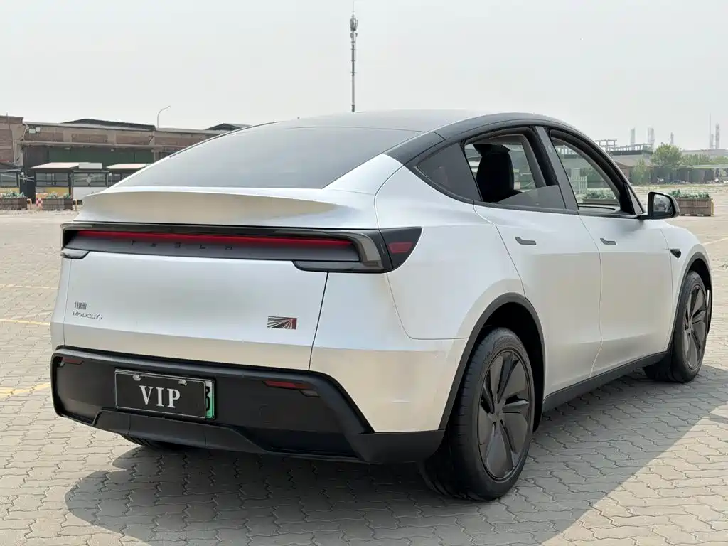 Tesla Model Y — миниатюра 9