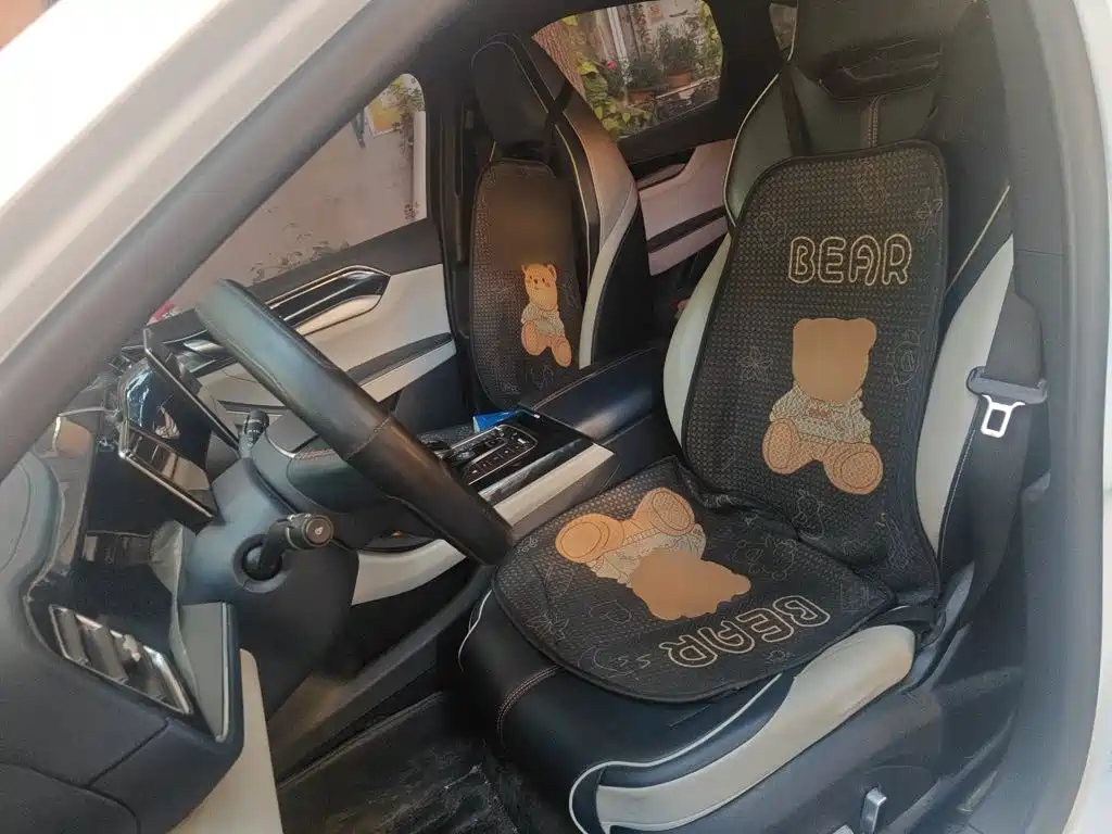 BYD Qin PLUS — миниатюра 17