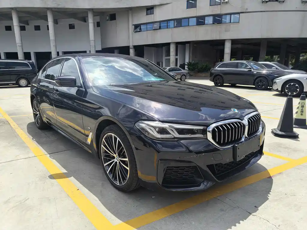 BMW 5 Series — миниатюра 3