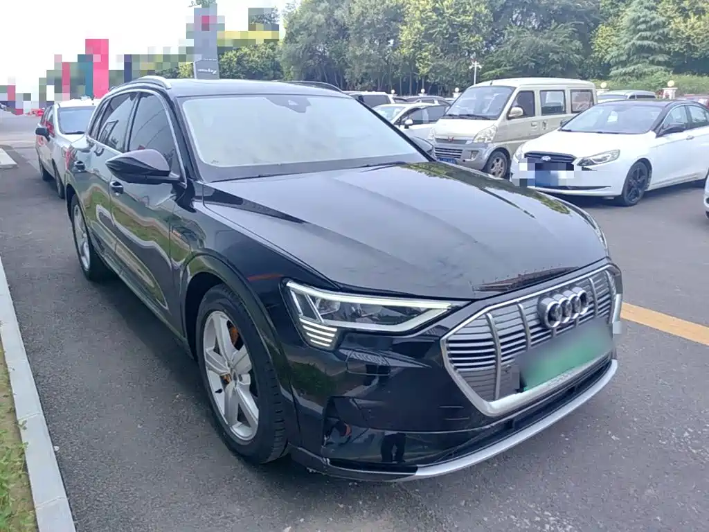 Audi e-tron (Import) — миниатюра 4