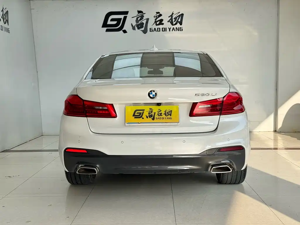 BMW 5 Series — миниатюра 28