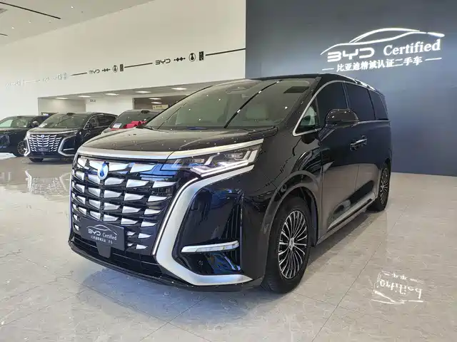 2025 Denza D9