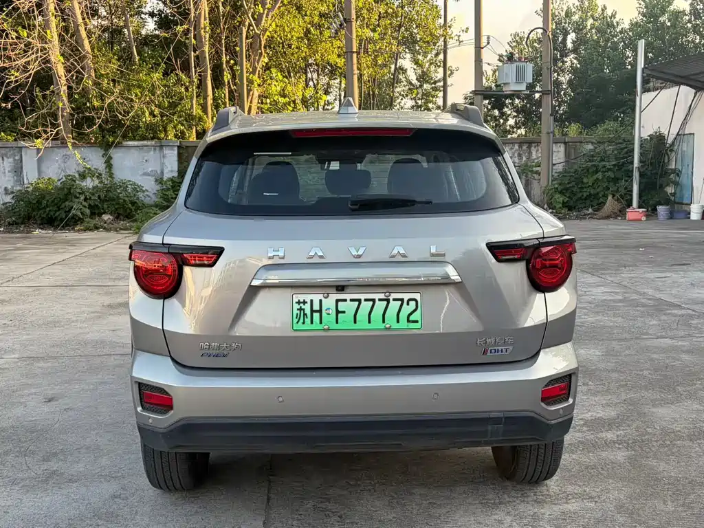 Haval Big Dog PLUS New Energy — миниатюра 8
