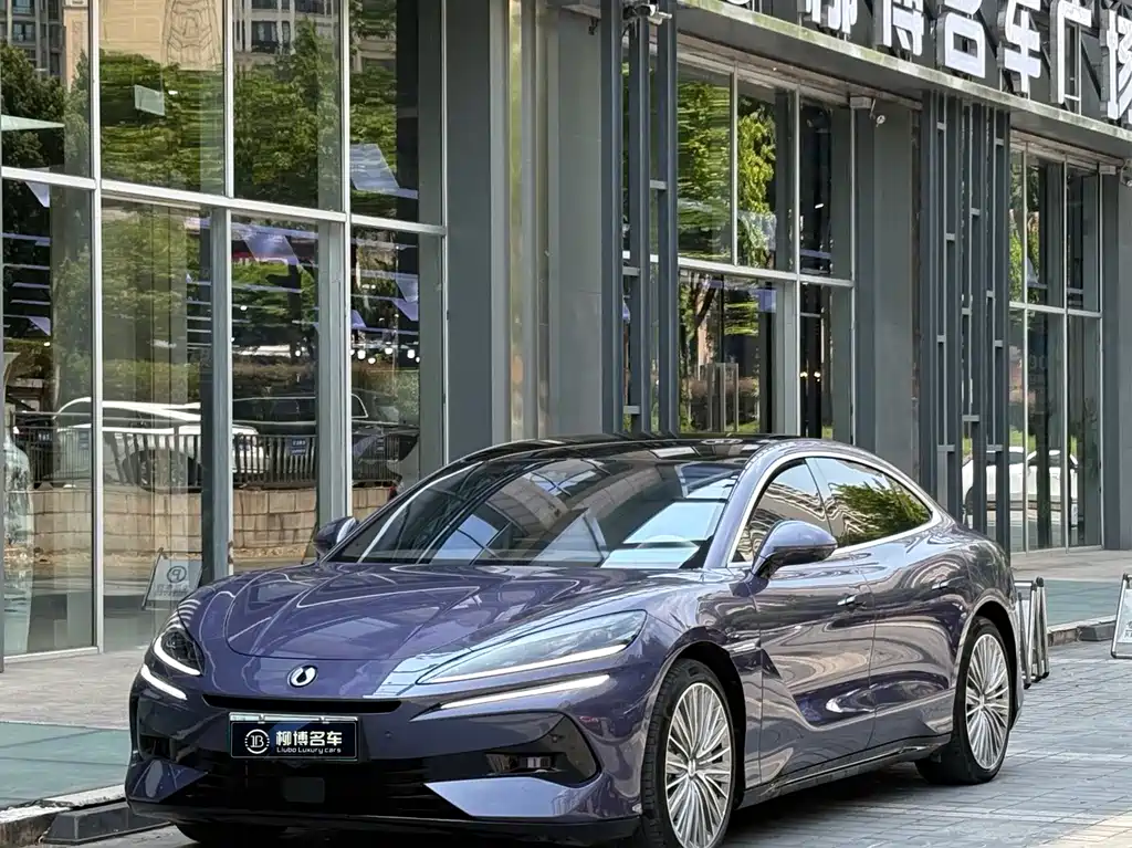 Denza Denza Z9
