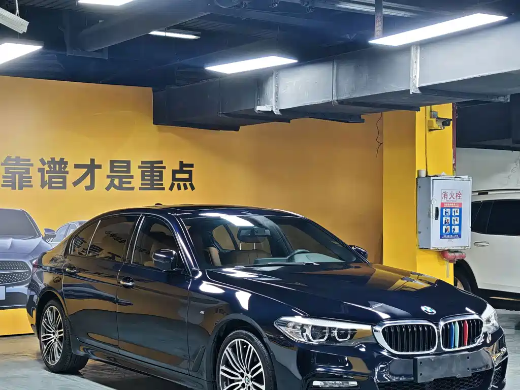 BMW 5 Series — миниатюра 3