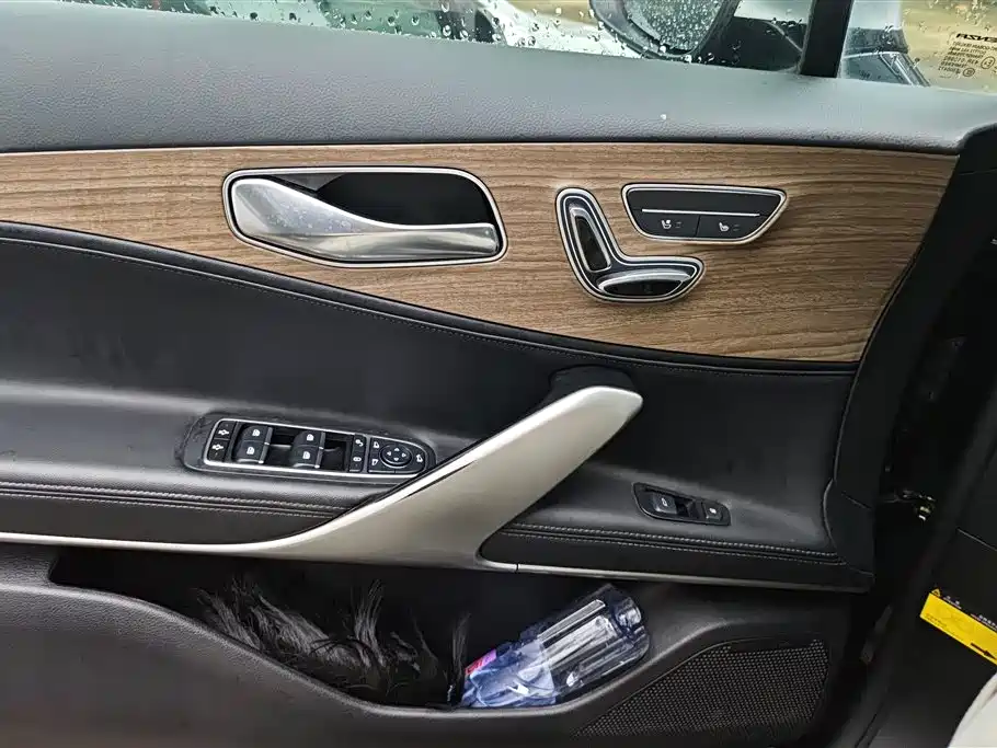 Denza X 2020 PHEV