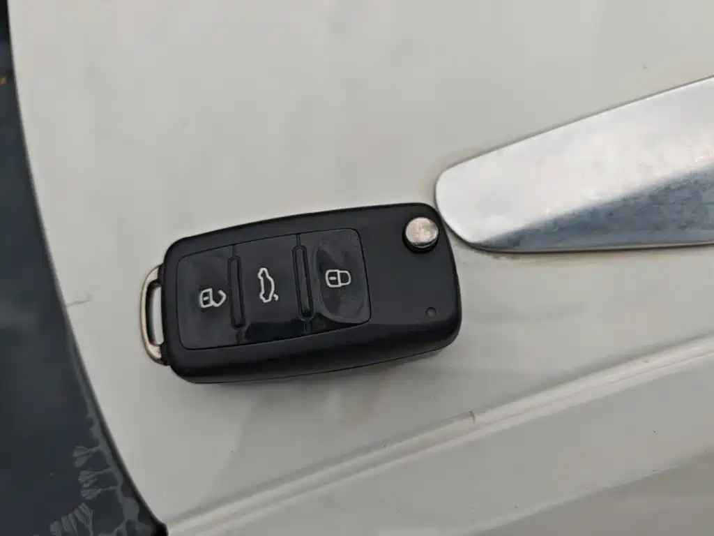 Volkswagen Gran Lavida — миниатюра 13