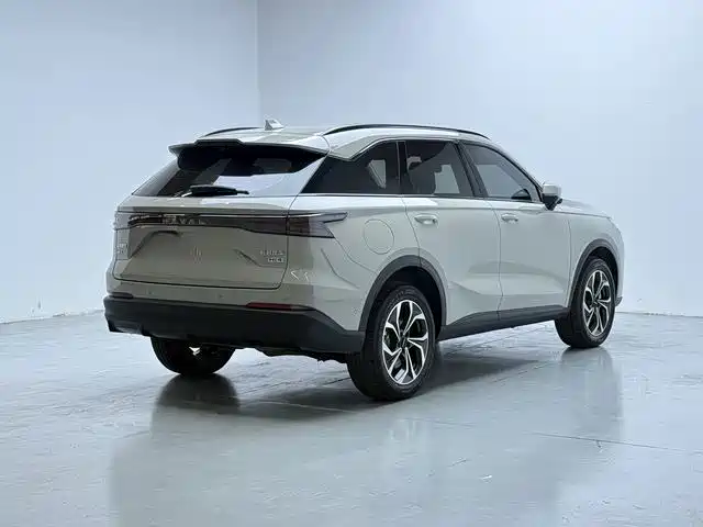 Haval Xiaolong MAX — миниатюра 8