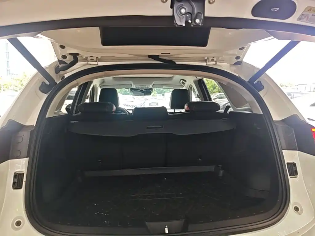 Haval Chitu — миниатюра 19