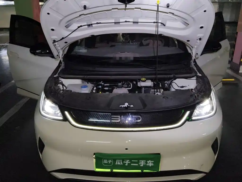 BYD Dolphin — миниатюра 11