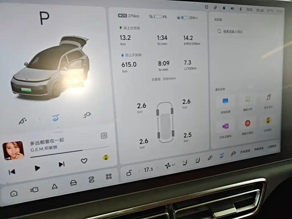 Li Auto Li L8 — миниатюра 13