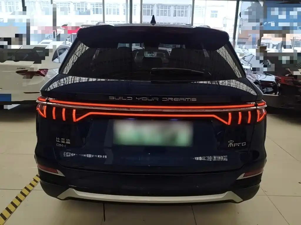 BYD Pro New Energy — миниатюра 6