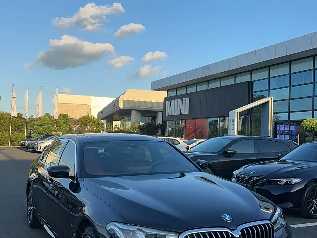 BMW 5 Series — миниатюра 3