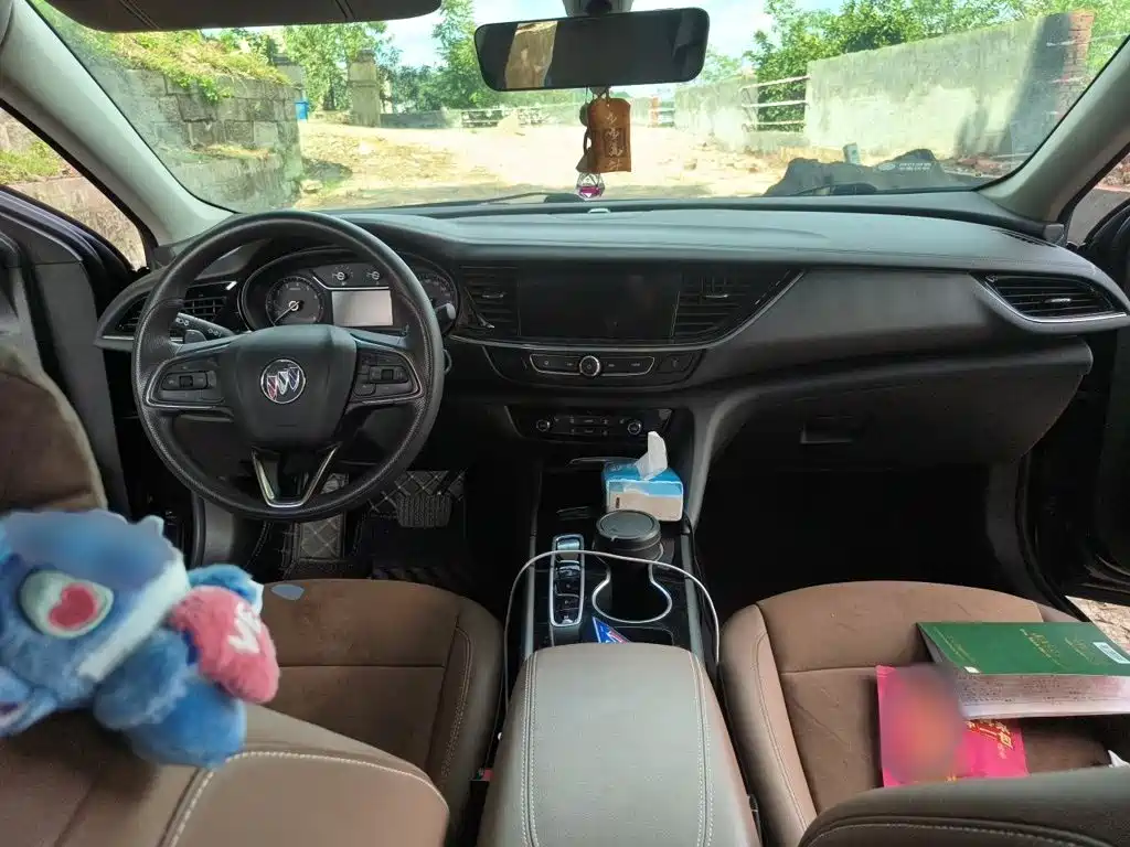 Buick Regal — миниатюра 13