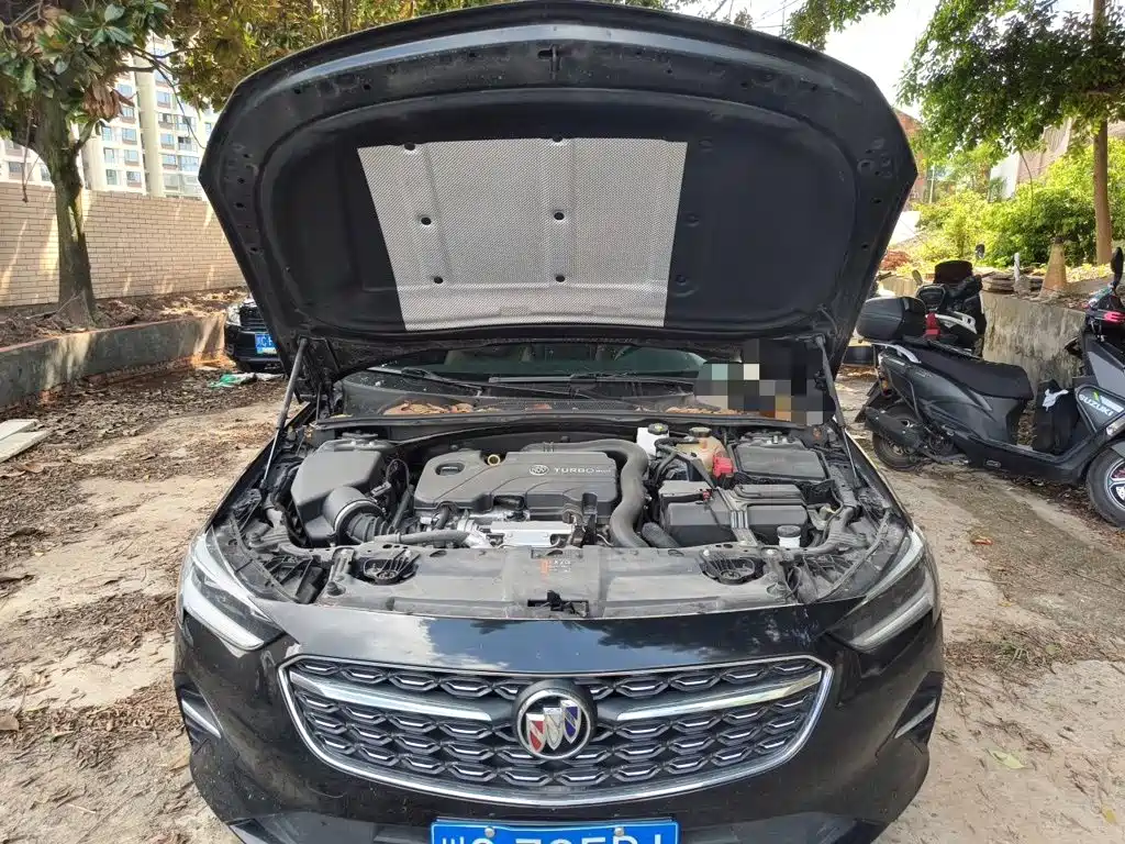 Buick Regal — миниатюра 11