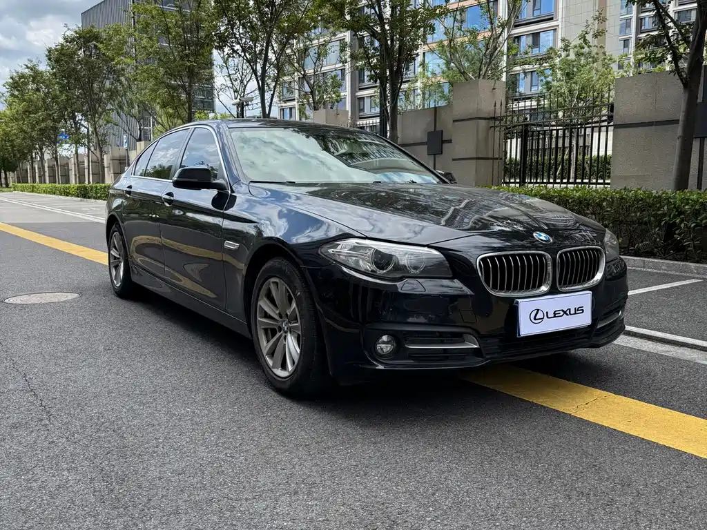 BMW 5 Series — миниатюра 3