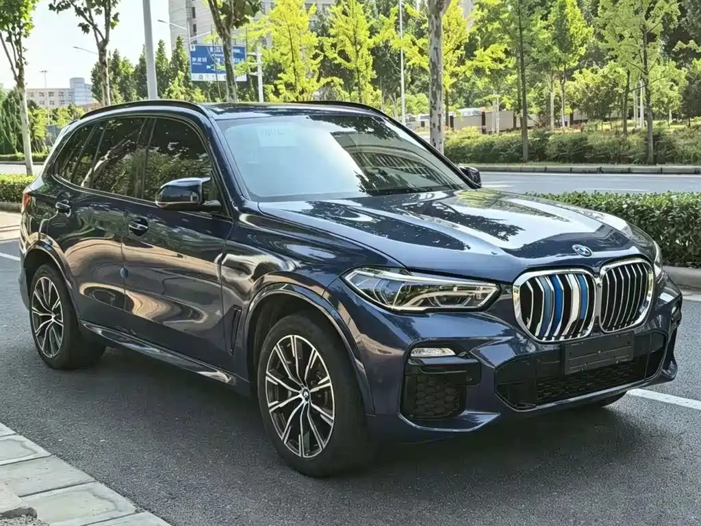 BMW X5 (Import) — миниатюра 3