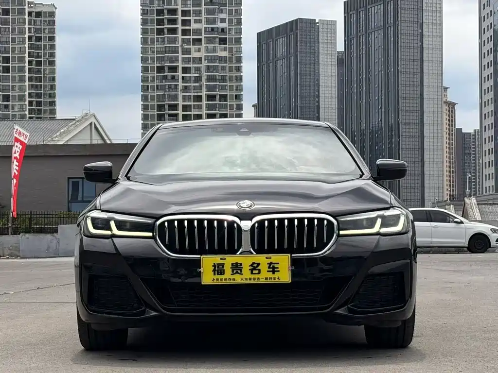 BMW 5 Series — миниатюра 2