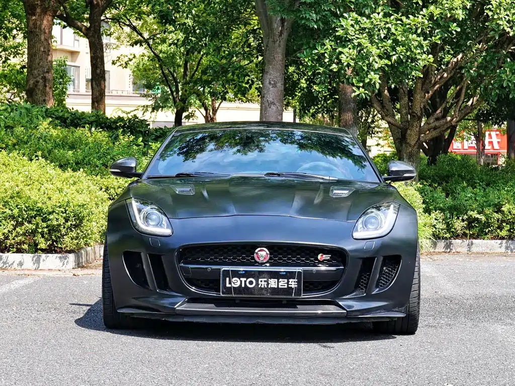 Jaguar F-TYPE — миниатюра 2