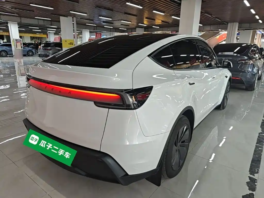 Tesla Model Y — миниатюра 7