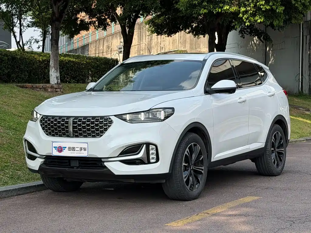 Wey Wey VV6