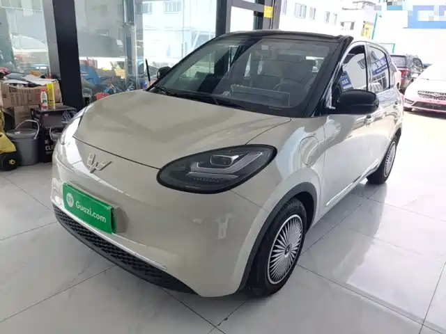 2024 Wuling Motors Binguo
