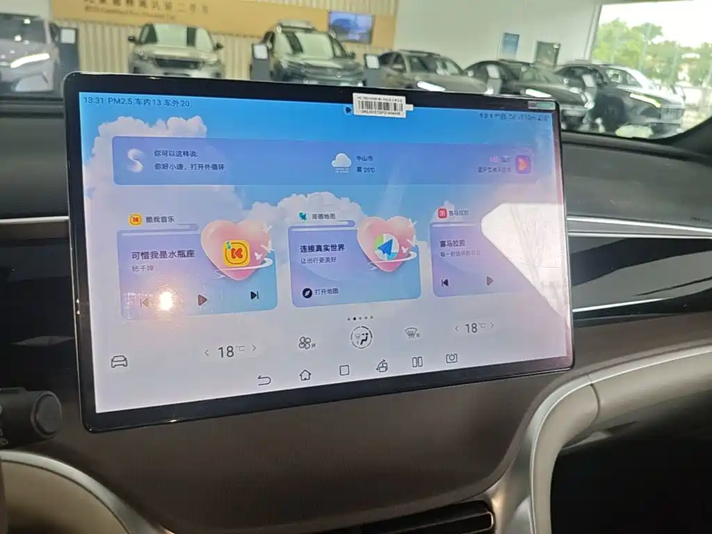 BYD Pro New Energy — миниатюра 13