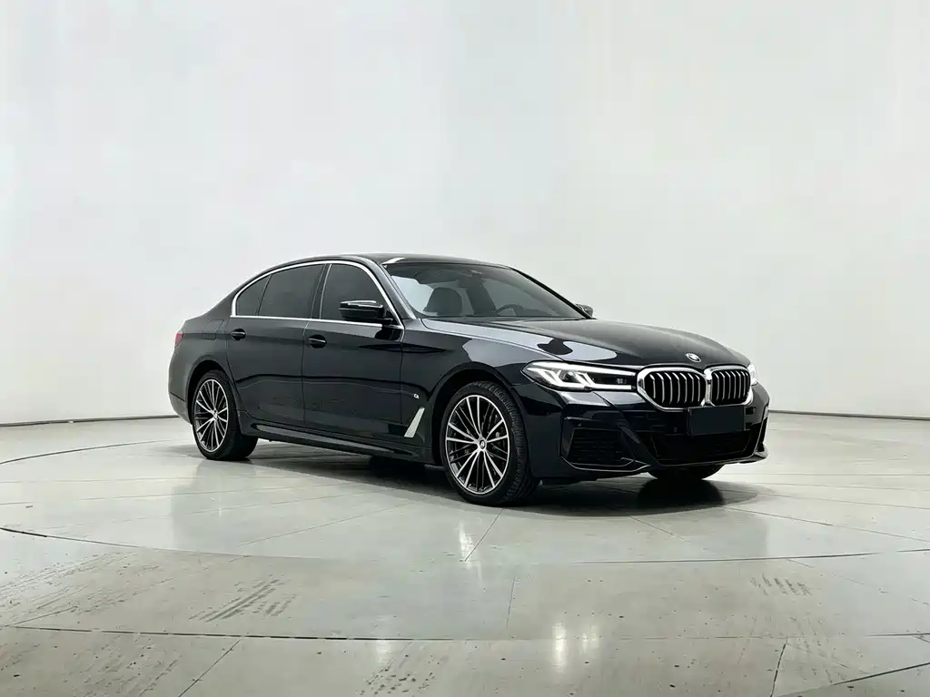 BMW 5 Series — миниатюра 3