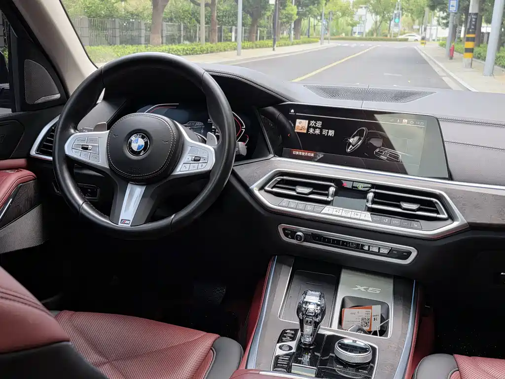 BMW X5 — миниатюра 11
