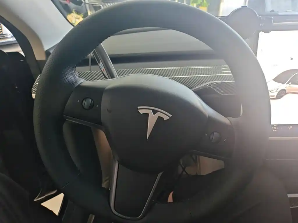 Tesla Model Y — миниатюра 11
