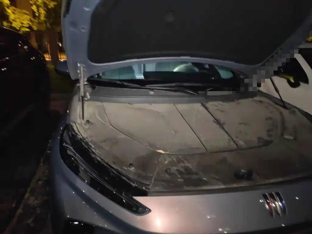 Buick E5 — миниатюра 19