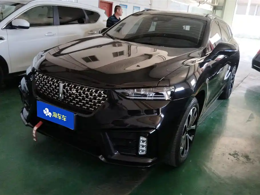 Купить Wey Wey VV7