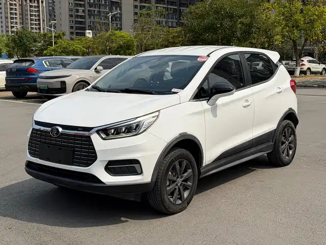 BYD YUANXIN ENERGY 2019