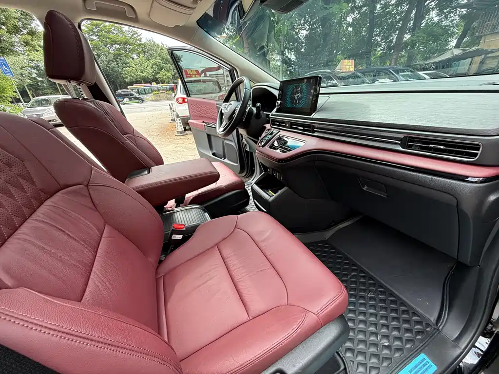 Honda Elysion — миниатюра 10