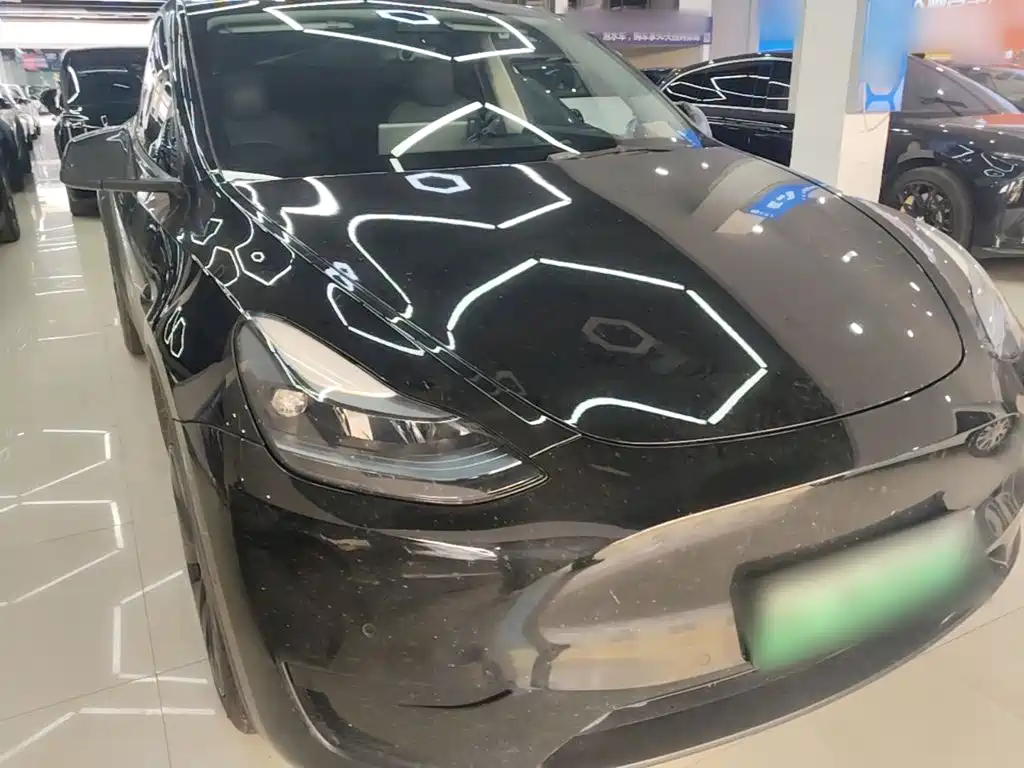 Tesla Model Y — миниатюра 4