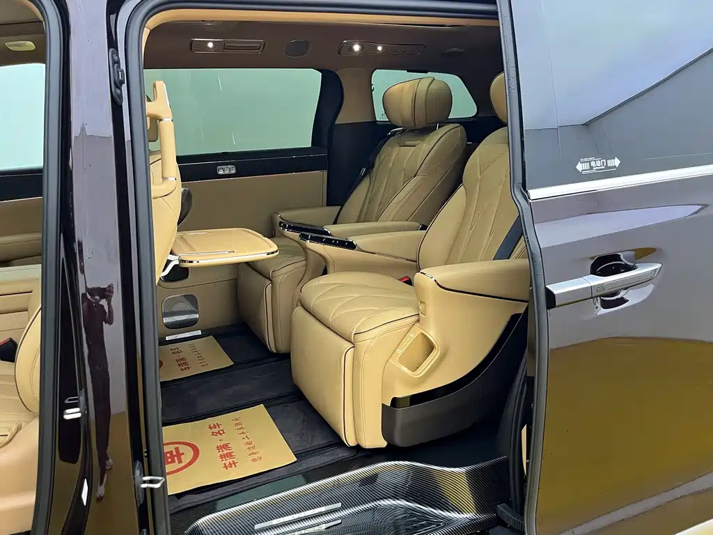 Denza Denza D9 — миниатюра 6