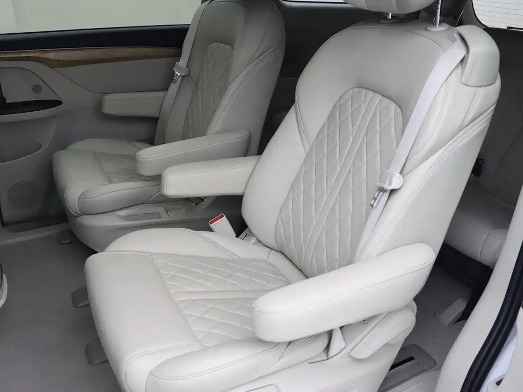 Buick GL8 — миниатюра 15