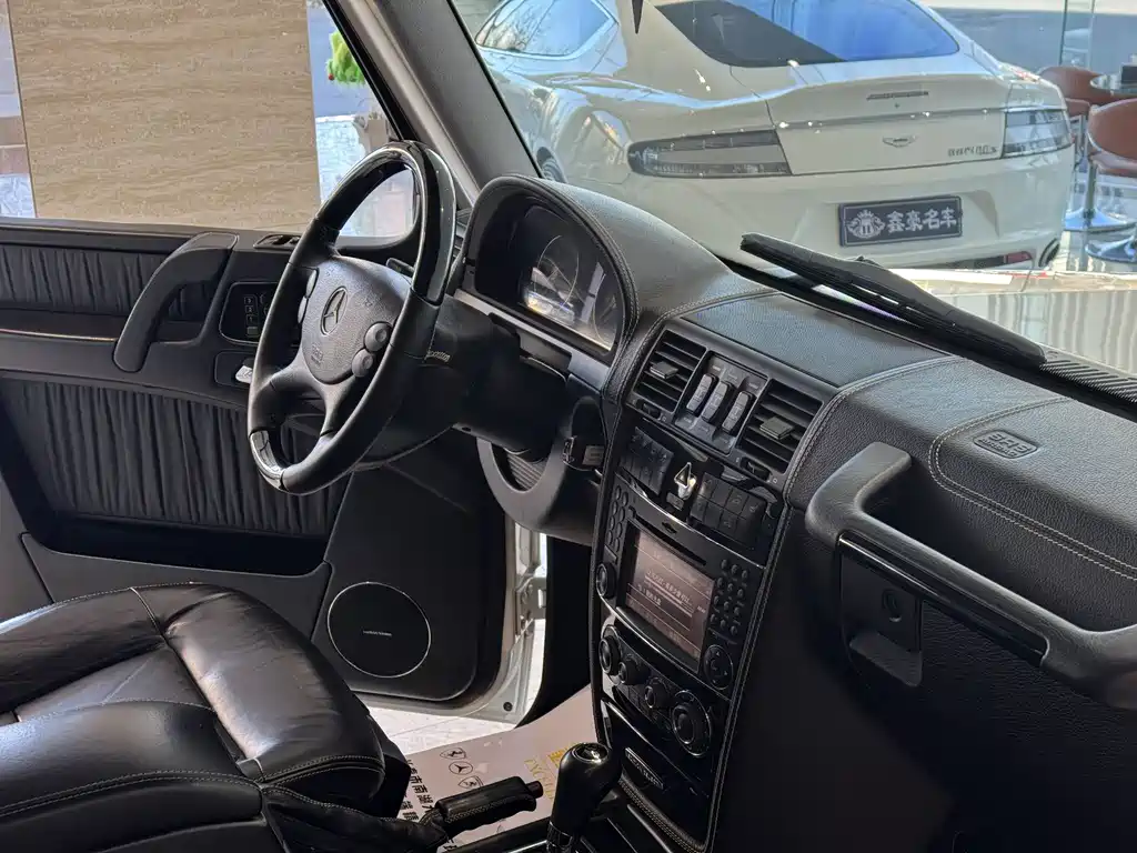Mercedes-Benz G-Class G 2010 G 500